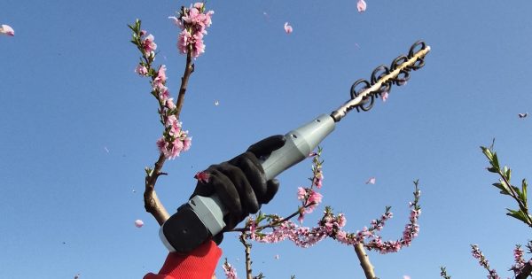 Αραιωτής Ανθέων AF100 Cordless Αrvipo