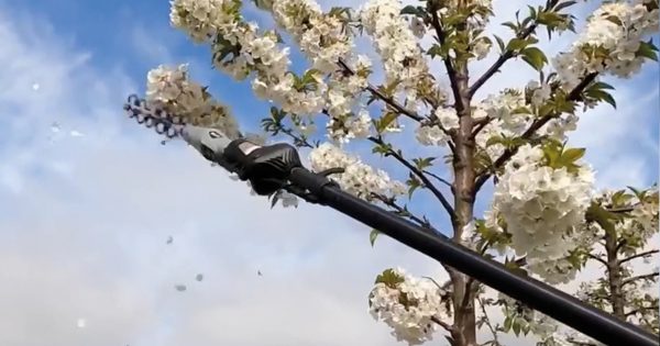 Αραιωτής Ανθέων AF100 Cordless Αrvipo