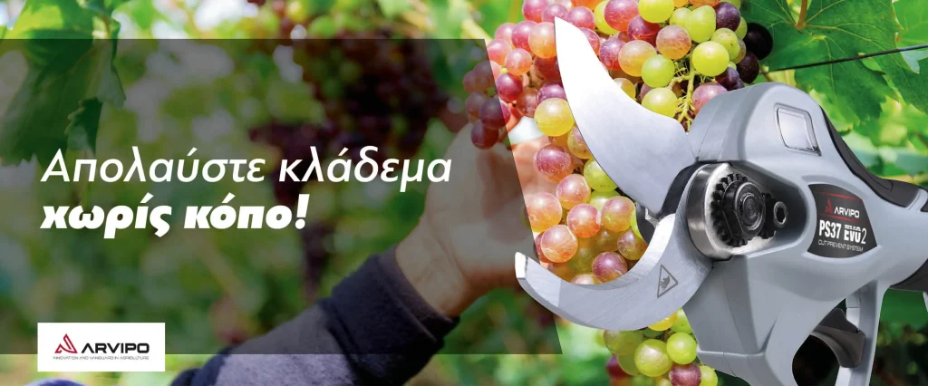 ARVIPO ψαλίδια μπαταρίας