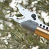 Κονταροψάλιδο Μπαταρίας HP37 Arvipo