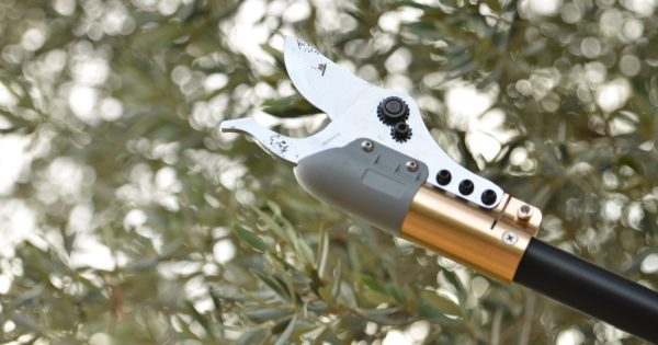 Κονταροψάλιδο Μπαταρίας HP37 Arvipo