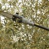Κονταροπρίονο μπαταρίας HS37 Pro Arvipo