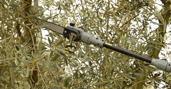 Κονταροπρίονο μπαταρίας HS37 Pro Arvipo