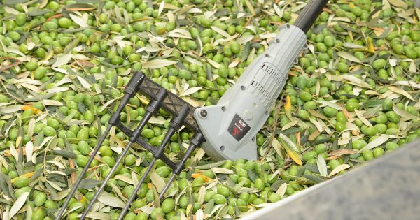 Ραβδιστικό μπαταρίας OV37 Arvipo