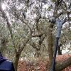 Ραβδιστικό μπαταρίας OV37 Arvipo
