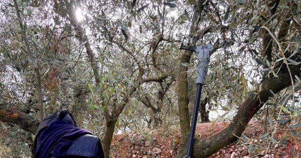 Ραβδιστικό μπαταρίας OV37 Arvipo