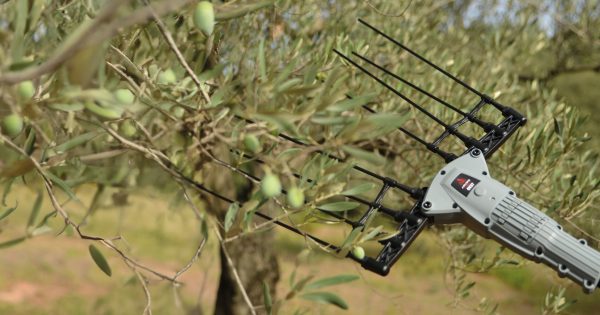 Ραβδιστικό μπαταρίας OV37 Arvipo