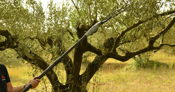 Ραβδιστικό μπαταρίας OV37 Arvipo