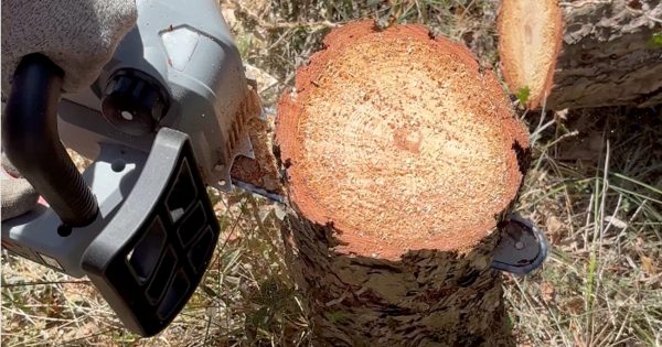 Αλυσοπρίονο Μπαταρίας ST37 Arvipo