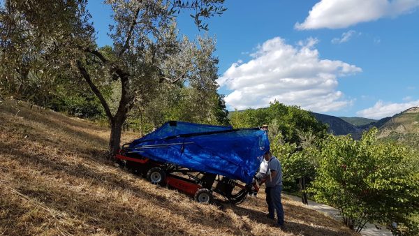OlivSpeed 4x4J