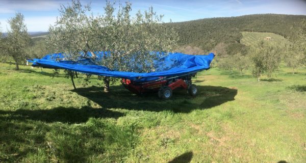 OlivSpeed 4×4