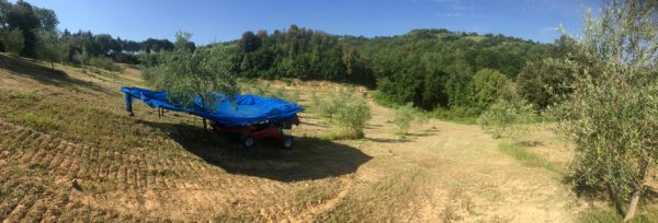 OlivSpeed 4×4