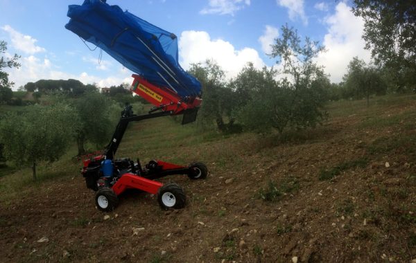 OlivSpeed 4×4