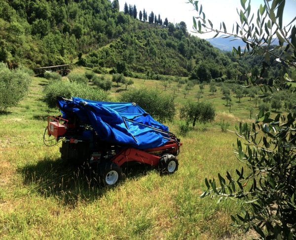 OlivSpeed 4×4