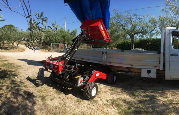 OlivSpeed 4×4