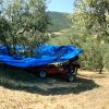 OlivSpeed 4×4