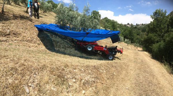 OlivSpeed 4×4