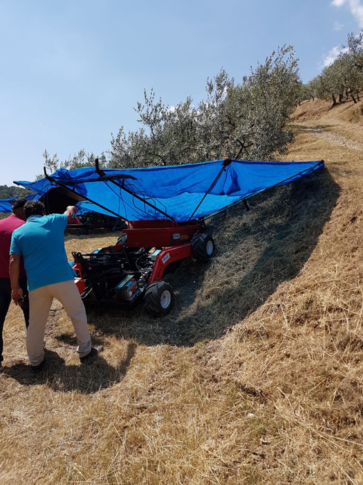 OlivSpeed 4×4