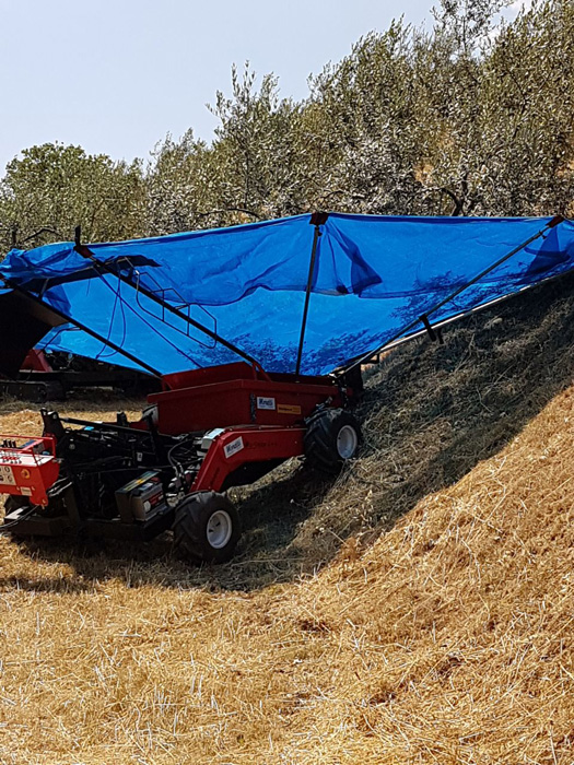 OlivSpeed 4×4