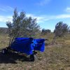 OlivSpeed Plus