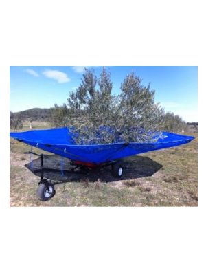 OlivSpeed Plus