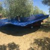 OlivSpeed 4×4