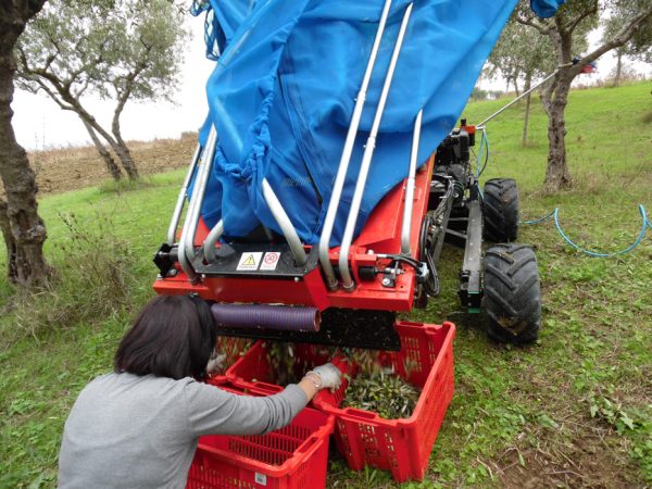 OlivSpeed 4×4