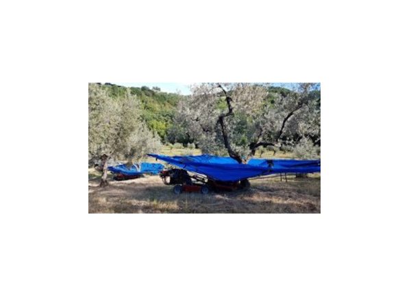 OlivSpeed 4x4J