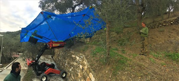 OlivSpeed 4×4