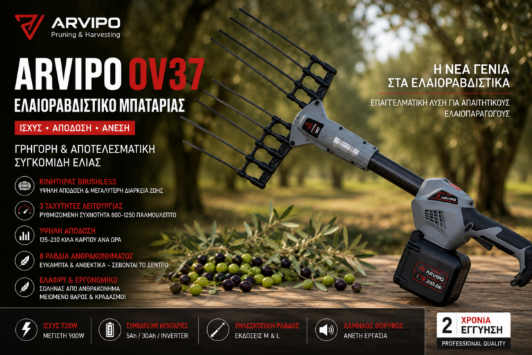 arvipo ov37