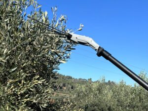 ov37 slim
