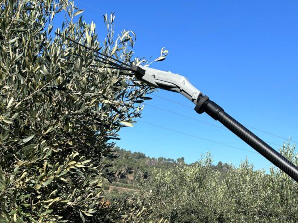 ov37 slim
