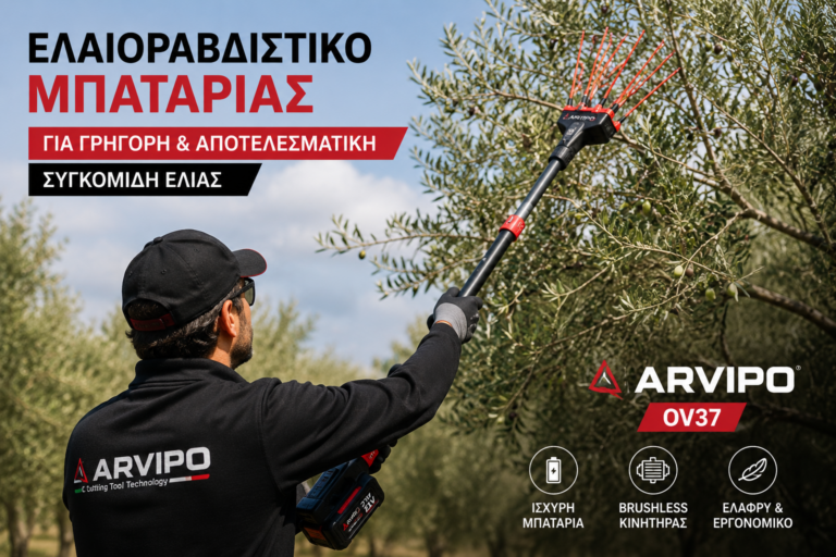 συγκομιδή ελιάς