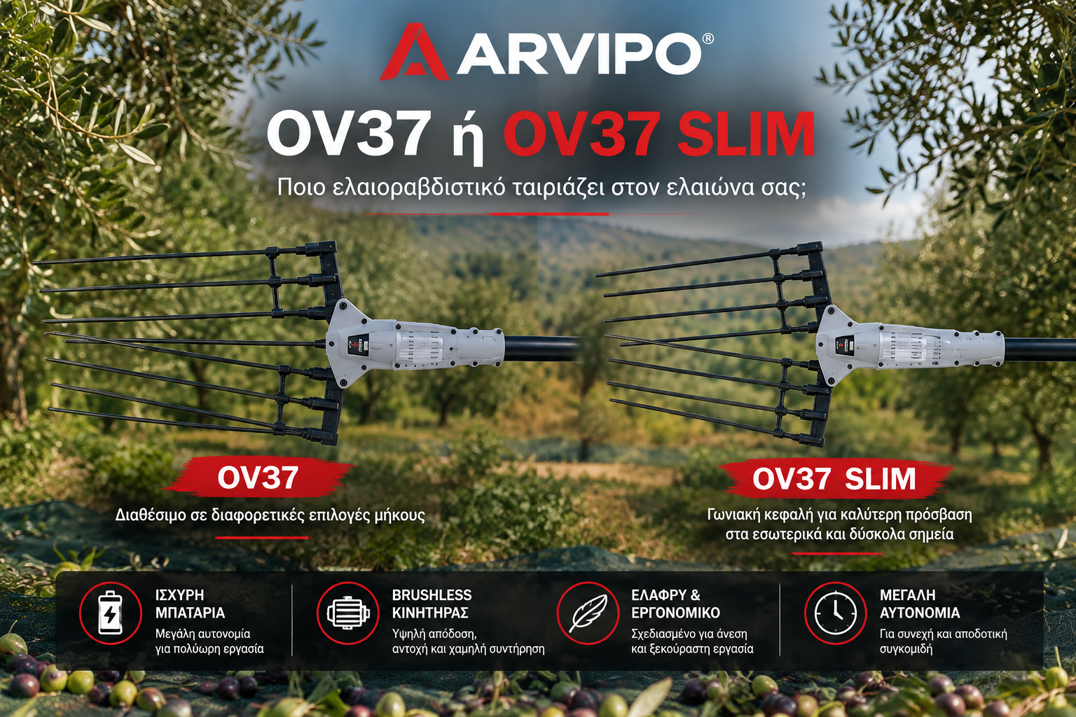 ARVIPO OV37 ή OV37 SLIM