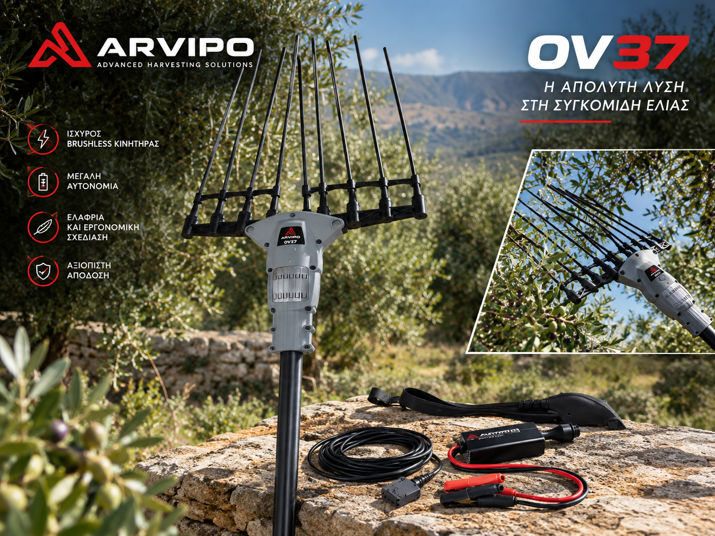 απόδοση του ARVIPO OV37